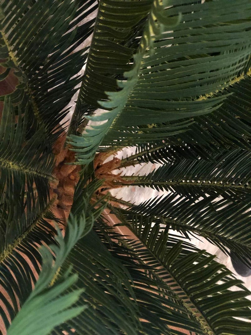 AMERIQUE Gorgeous 3 Feet Cycas Revoluta Sago Palm Tree Artificial Plant with Nursery Pot, Feel Real Technology - Image 2